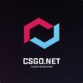 CSGO.NET Review